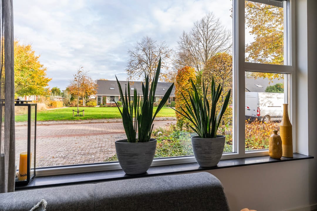 Foto 17 van Master Jansenstrjitte 37