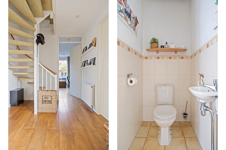 Foto 5 van Gele lis 36