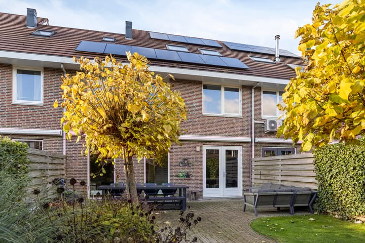 Foto 24 van Gele lis 36