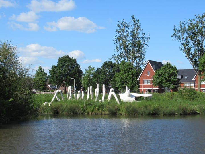 Foto 27 van Gele lis 36