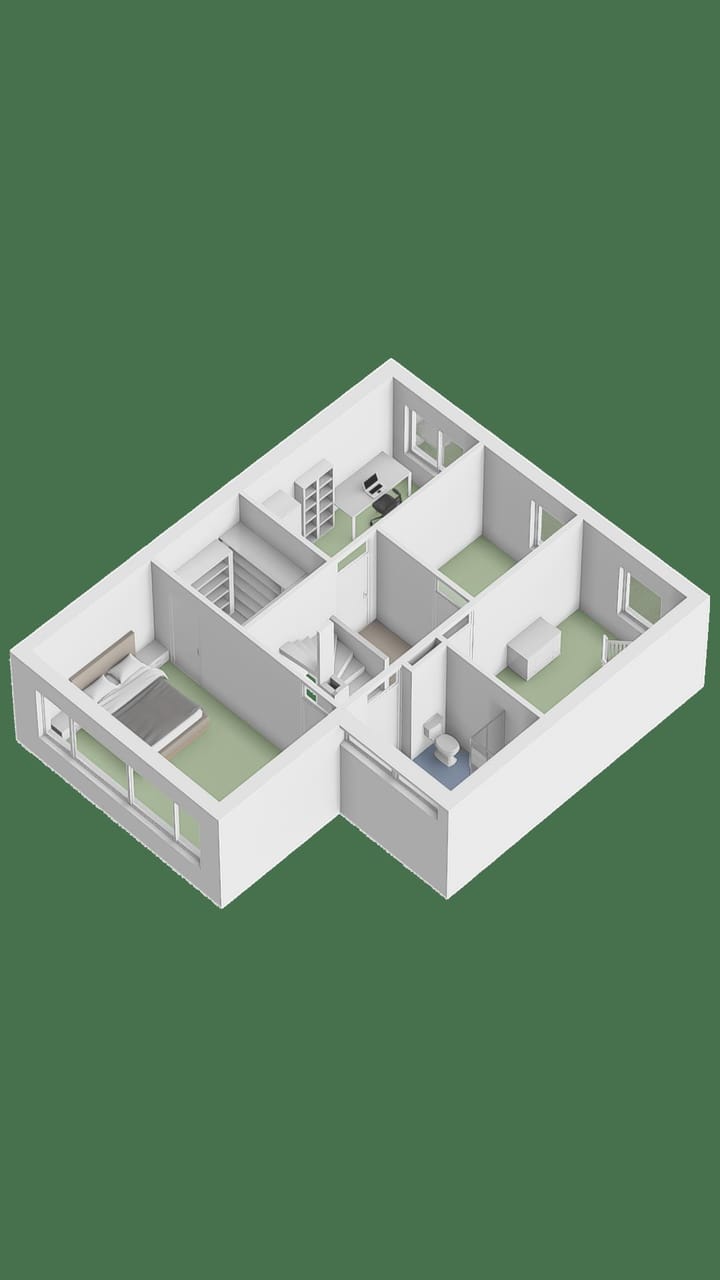 Foto 36 van Gele lis 36