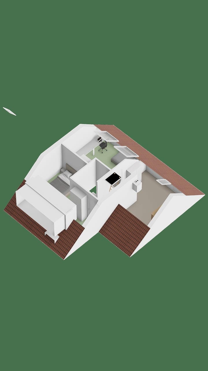 Foto 37 van Gele lis 36