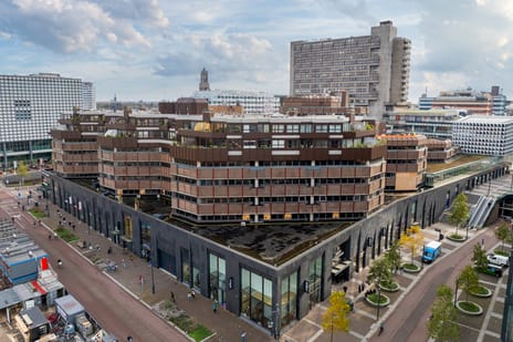 Smakkelaarsveld thumbnail