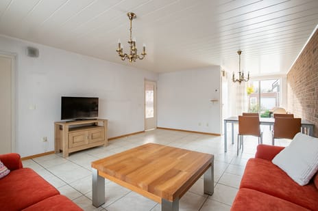 Kamille 2 tertiary image