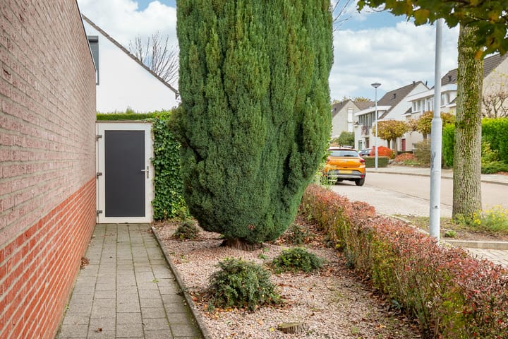 Photo 25 of Kamille 2