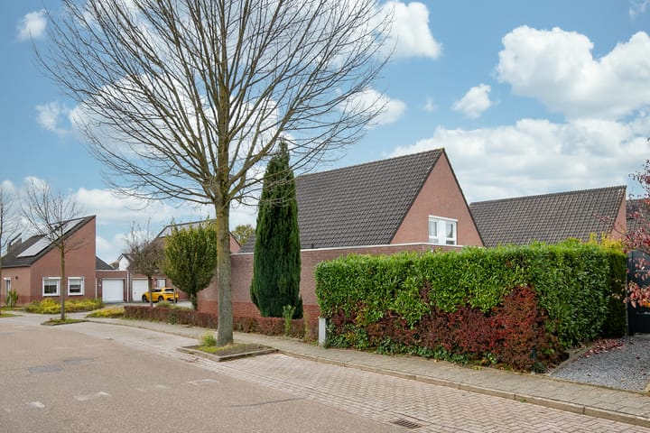 Photo 26 of Kamille 2