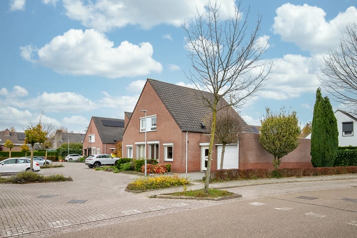 Photo 27 of Kamille 2