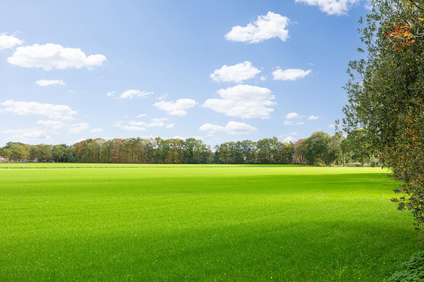 Foto 55 van Willibrordusweg 39