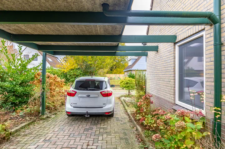 Foto 23 van Ruskenstukken 19