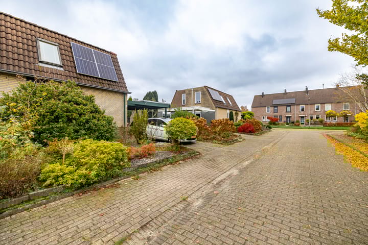 Foto 24 van Ruskenstukken 19