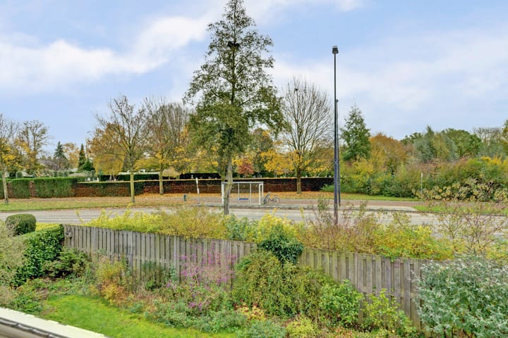 Photo 29 of Hemelrijk 25