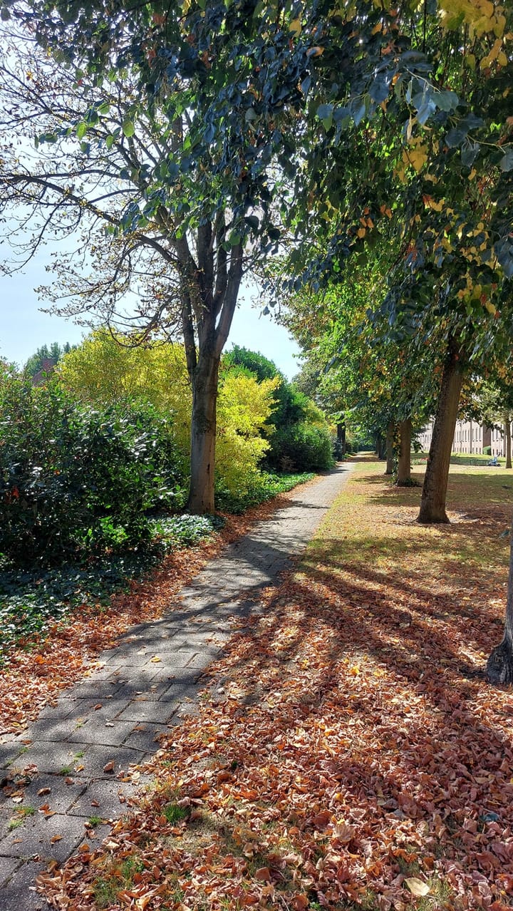 Foto 21 van Louis Beerenbrouckstraat 12