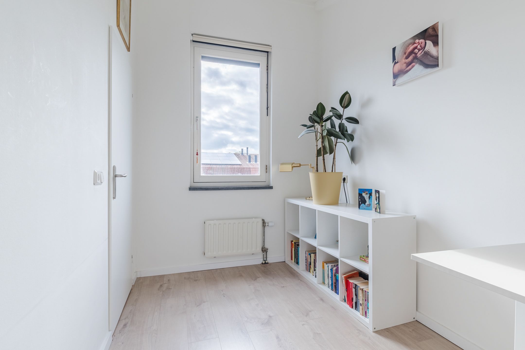 Foto 45 van Klifrakplantsoen 87