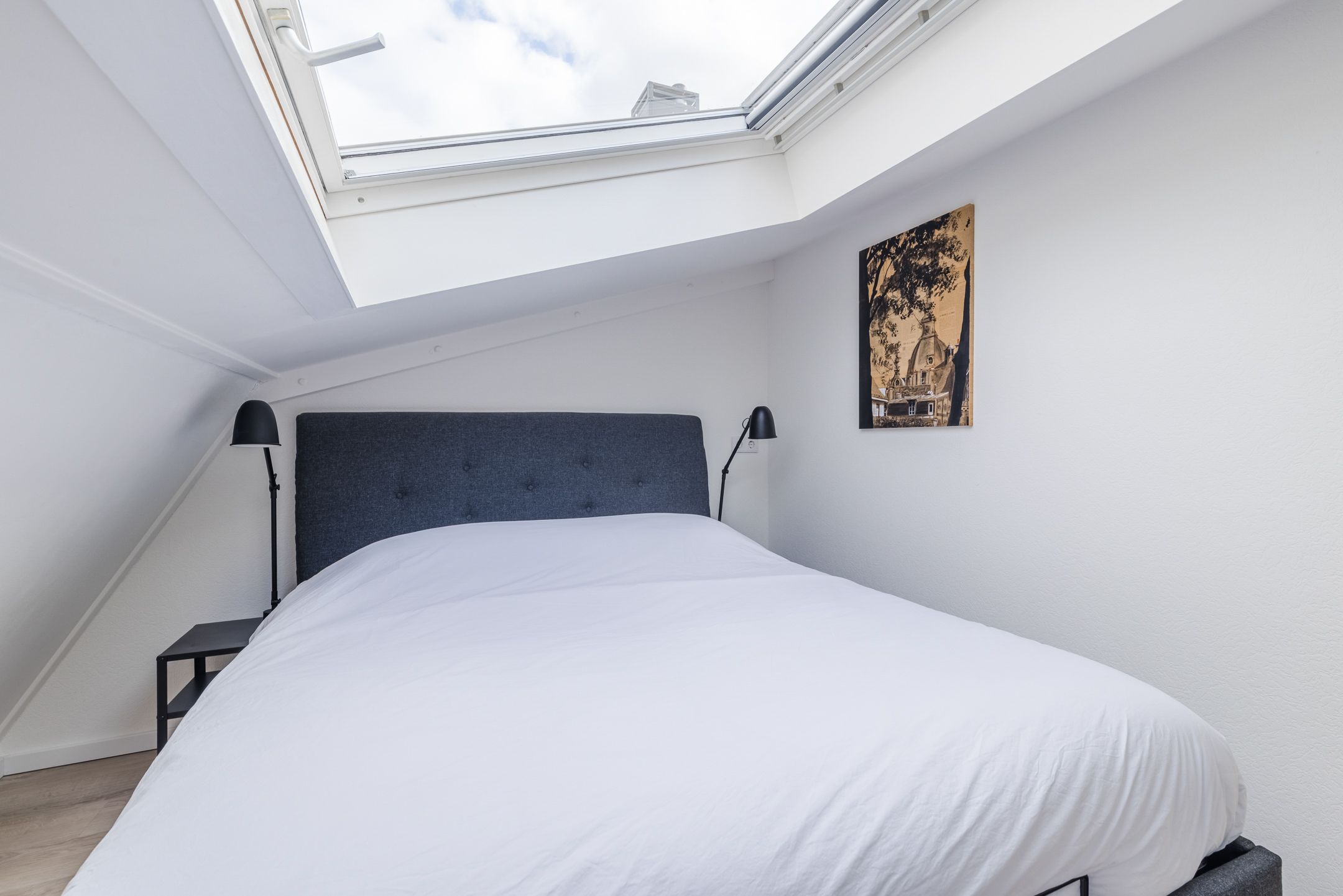 Foto 51 van Klifrakplantsoen 87