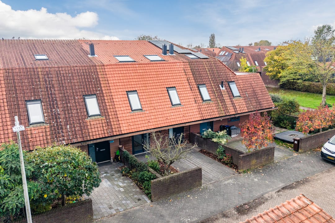 Foto 62 van Klifrakplantsoen 87