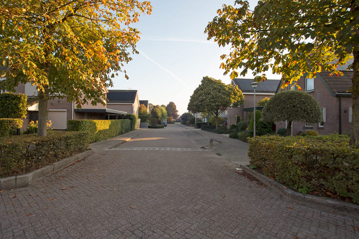 Photo 36 of De Kempenbongerd 6