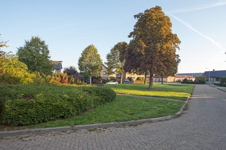 Photo 38 of De Kempenbongerd 6