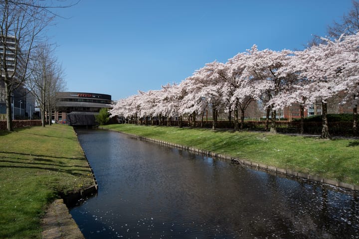 Foto 40 van Kamerlingh Onnesstraat 37