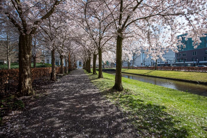 Foto 44 van Kamerlingh Onnesstraat 37