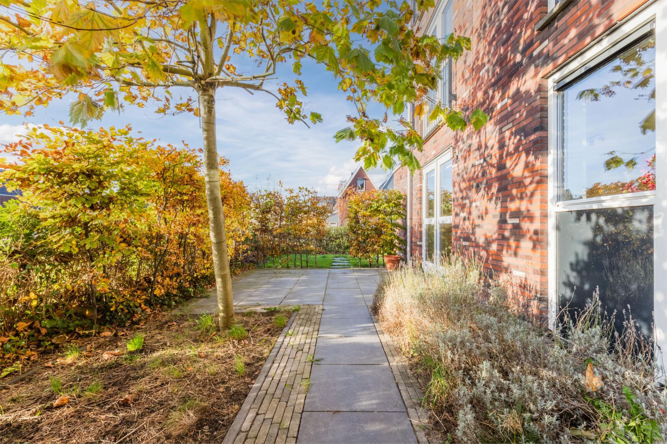 Photo 39 of Wierdijk 127