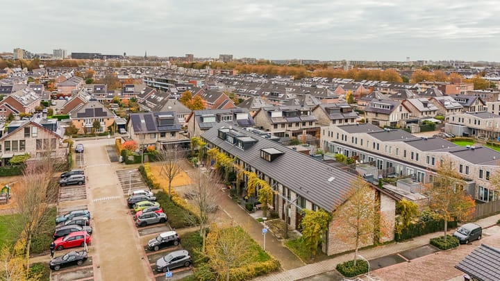 Photo 3 of Fonteinkruid 11