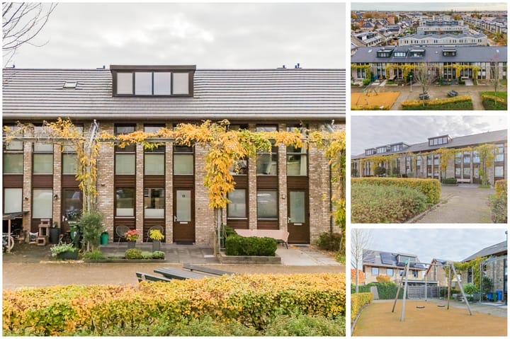 Photo 5 of Fonteinkruid 11