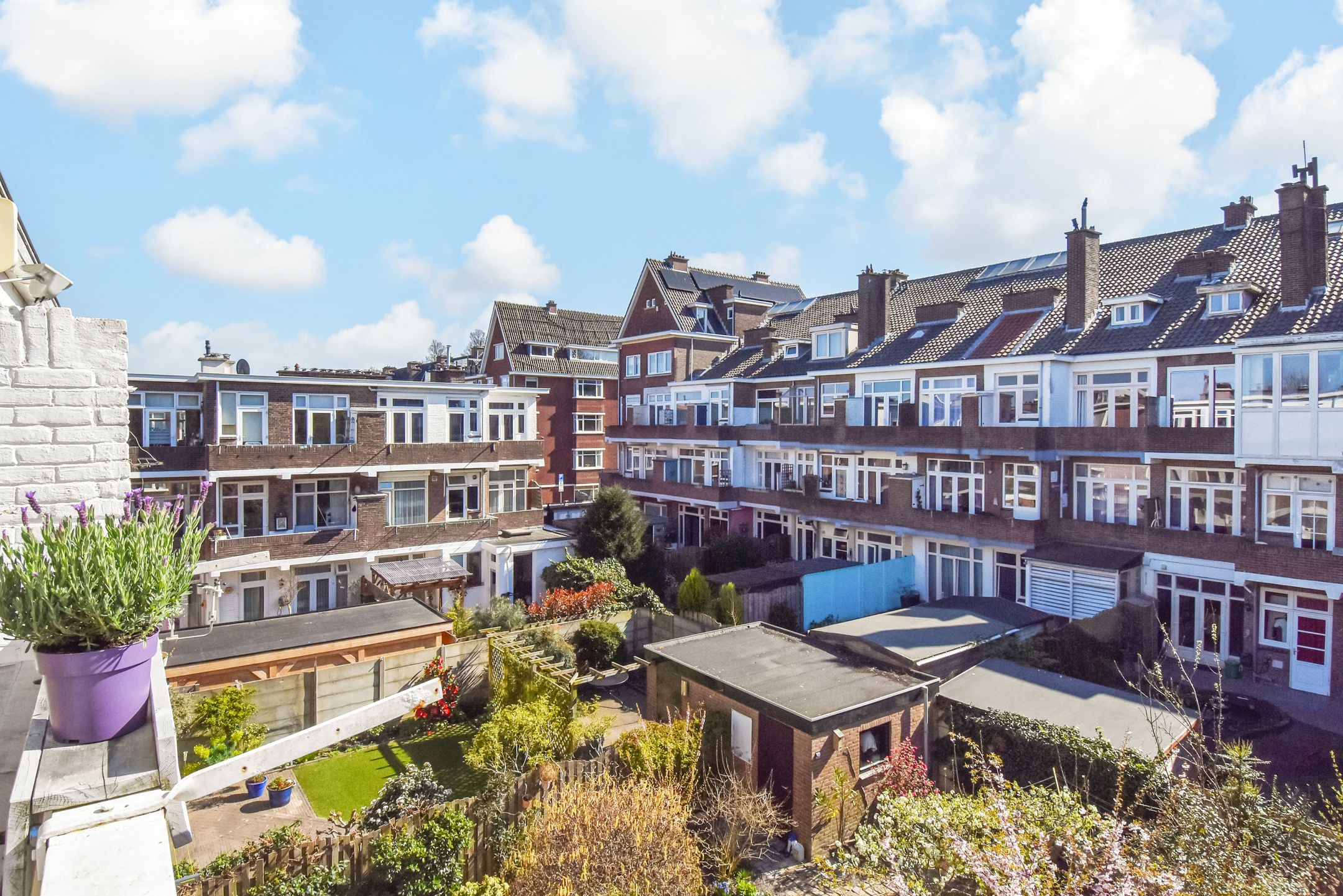 Foto 18 van Goudreinetstraat 620