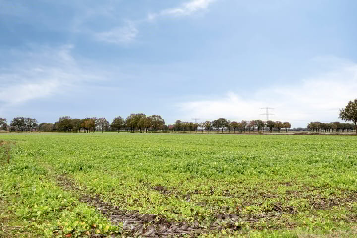 Foto 85 van Beelenstraat 3-A