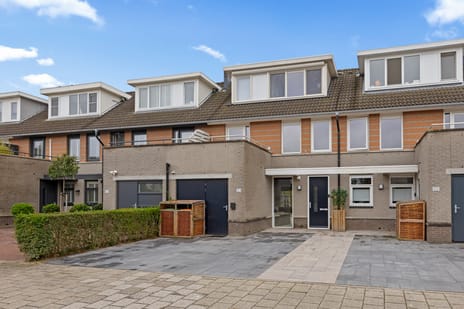 undefined main image