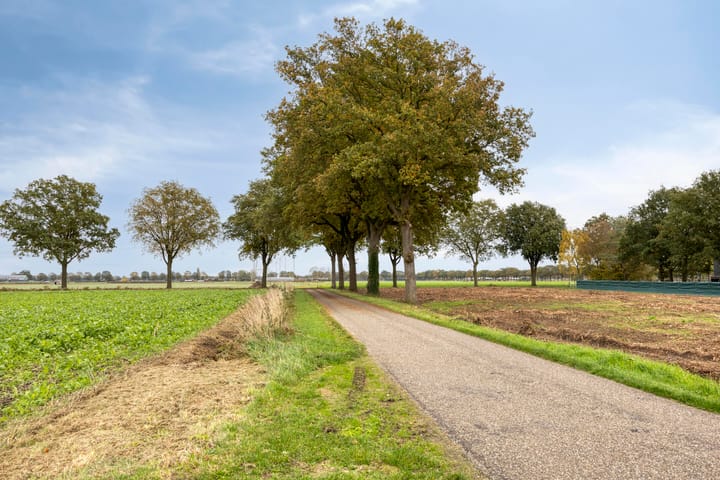 Foto 84 van Beelenstraat 3-A