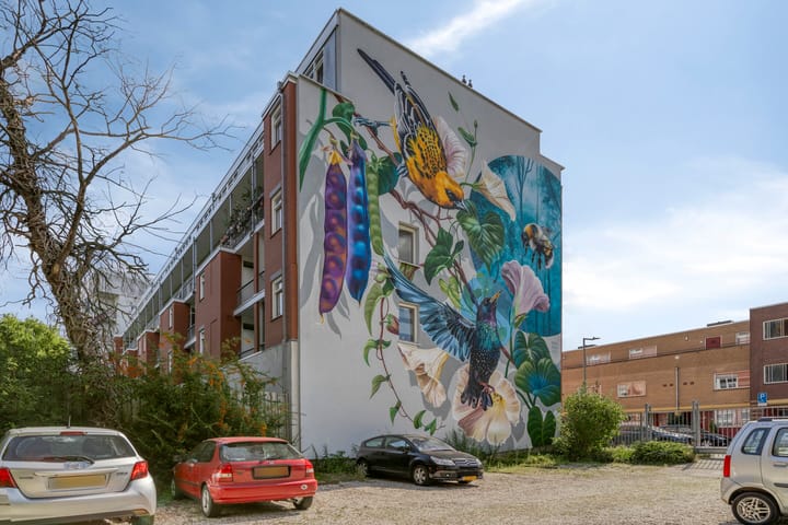 Foto 5 van Schiekade 17-D