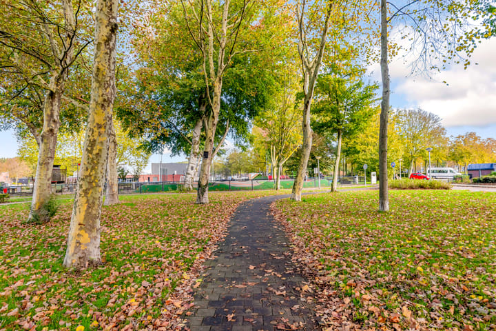 Foto 51 van Schoolwerf 136