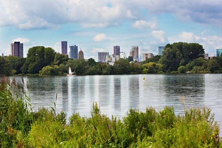 Photo 5 of Schapendreef 193