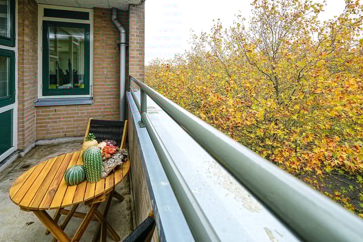 Photo 23 of Schapendreef 193