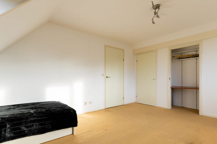 Foto 45 van Dragon 8