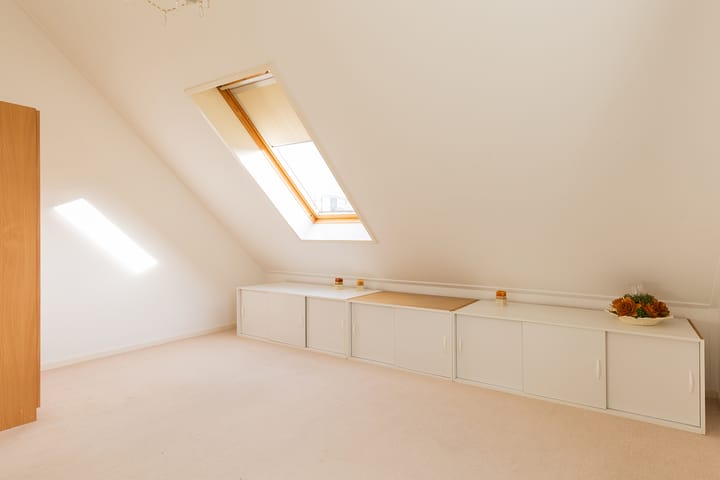 Foto 56 van Dragon 8