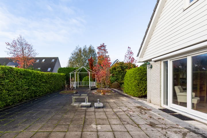 Foto 67 van Dragon 8