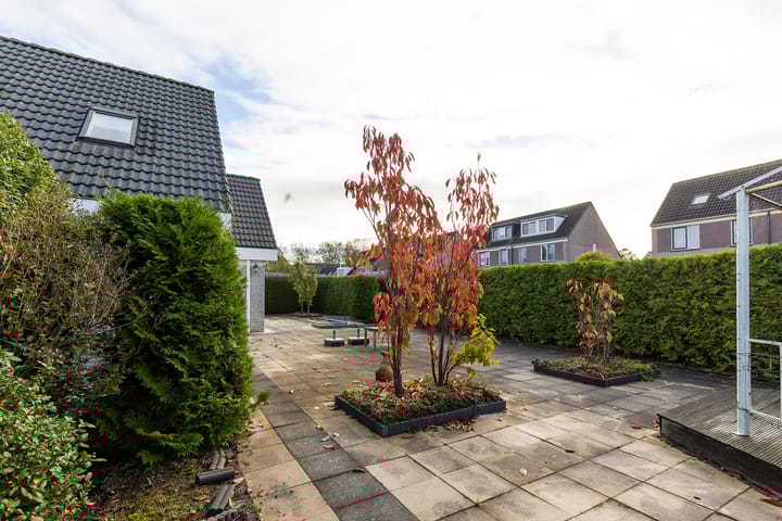 Foto 69 van Dragon 8