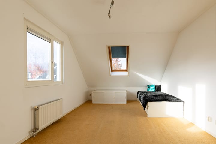 Foto 44 van Dragon 8