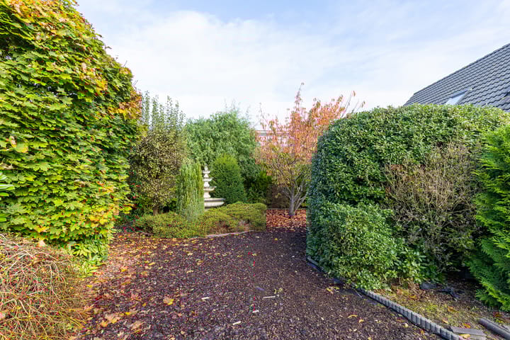 Foto 71 van Dragon 8