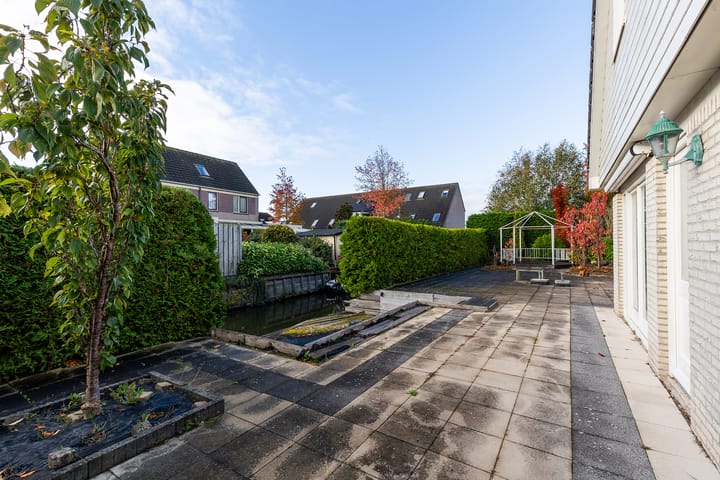 Foto 77 van Dragon 8