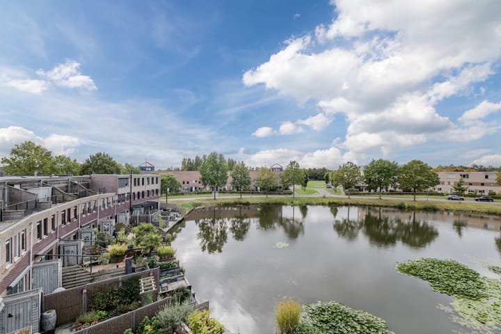 Photo 2 of Fuutmesschen 41