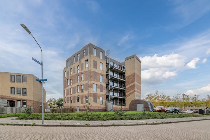 Photo 4 of Fuutmesschen 41