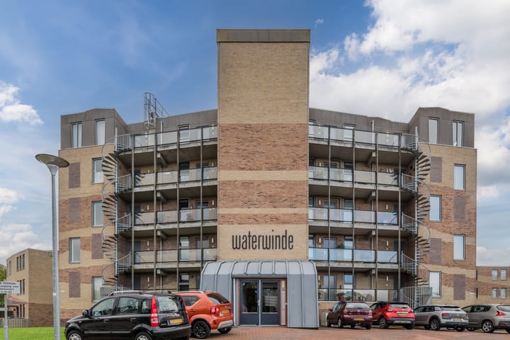 Photo 5 of Fuutmesschen 41