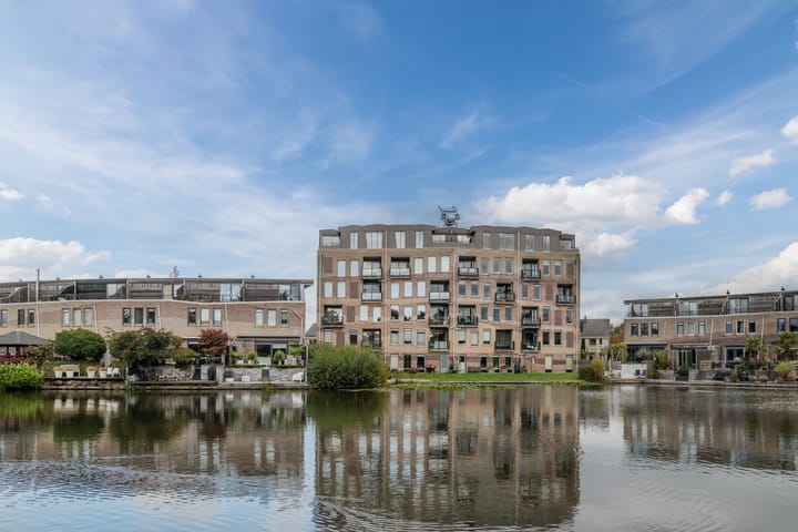 Photo 27 of Fuutmesschen 41