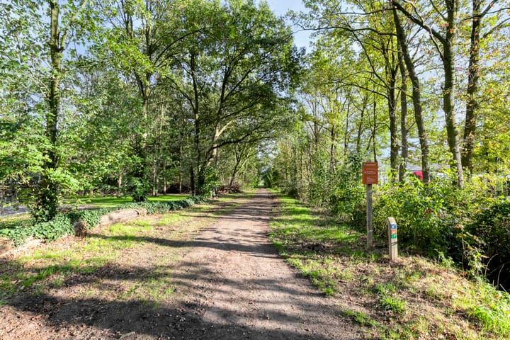 Photo 33 of Dotterbloemstraat 6