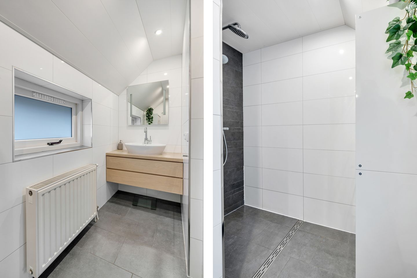 Foto 20 van Majoraan 11