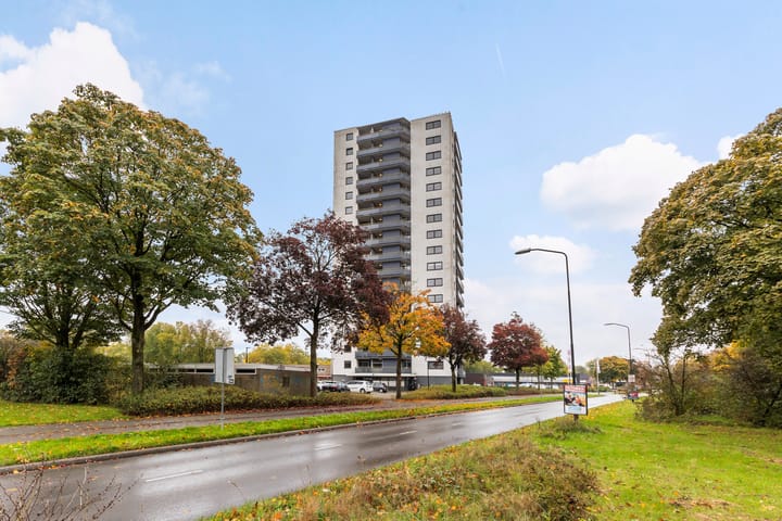 Foto 6 van Kalmoesstraat 125