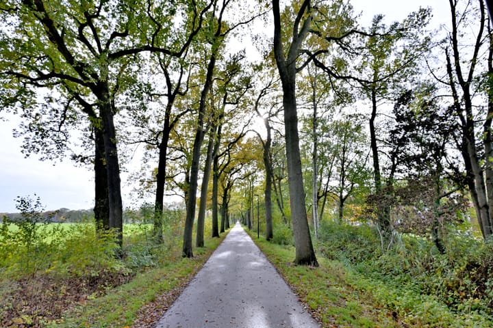 Foto 47 van Dudokstraat 14