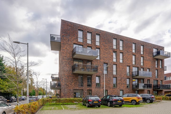 Photo 40 of Winterjanpad 88